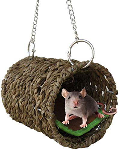 Woven Straw Bird tunnel - Seagrass Bird Tent Snuggle Toy Natural Hanging Hammock Swing Nest for Parrot Cockatiel Parakeet African Grey Cockatoo Macaw Amazon Lovebird Finch Hamster (4.72"x3.94"x10.2")