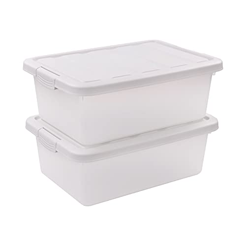 Teyyvn 14 L Clear Storage Box, 2-Pack Plastic Storage Bin with Gray Lid