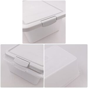 Teyyvn 14 L Clear Storage Box, 2-Pack Plastic Storage Bin with Gray Lid