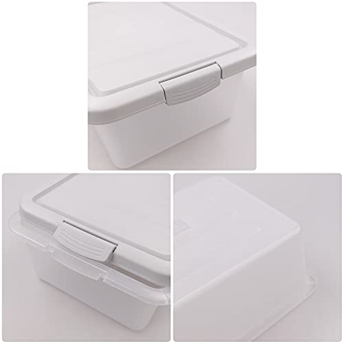Teyyvn 14 L Clear Storage Box, 2-Pack Plastic Storage Bin with Gray Lid