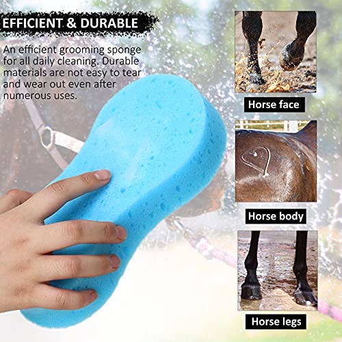 Harrison Howard ShineWell 3PCS Horse Groomer Sponges Dry & Wet Use Horse Massager Grooming Brush-away Mud Dirt Sweat Marking