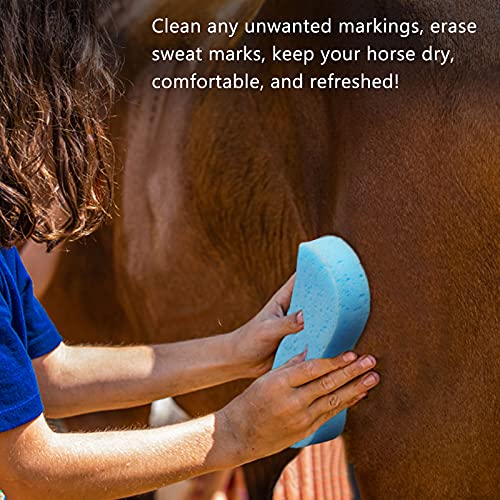 Harrison Howard ShineWell 3PCS Horse Groomer Sponges Dry & Wet Use Horse Massager Grooming Brush-away Mud Dirt Sweat Marking