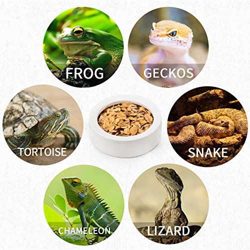 Meanplan 4 Pieces Reptile Water Food Bowl Terrarium Bowls Worm Dish Ceramic Pet Bowls Mini Reptile Food Ceramics Water Bowl Anti-Escape Mini Reptile Feeder for Lizard Anoles Bearded Dragons