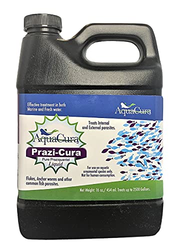 Prazi-Cura Liquid - Safest, Most Effective Parasite Treatment for Koi, and Aquarium Fish! Treats up to 2500 gallons.