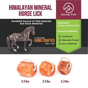 Glowyn Himalayan Salt Lick-Natural Minerals Block on Rope - 4.0 lbs. (6 Packs) - Great for Horses, Cattle, and Live Stock– Long Lasting – Pink Salt Lick