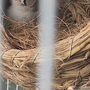 Lucky Interests Coconut Fiber, 4.5oz. Comfortable Bedding for Small Birds and Animals, Nest Material for Nest Building, Hideouts, Plants and Upholstery