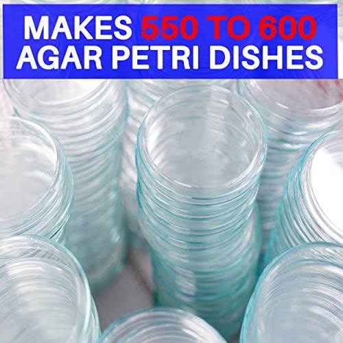 Potato Dextrose Agar Powder 500 Grams - Evviva Sciences - Makes 550 to 600 Agar Petri Dishes - Premium Performance - Excellent for Mold & Fungus - Great for Mushrooms & Science Projects