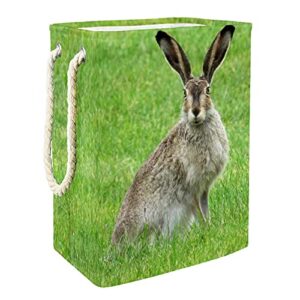 deyya waterproof laundry baskets tall sturdy foldable wild rabbit bunny hare nature grassland print hamper for adult kids teen boys girls in bedrooms bathroom