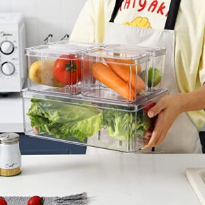 Set of 5 Fridge Organizer Bins Plastic Freezer Refrigerator Pantry Organizer Food Storage Box Container for Cabinet, Countertops, Cupboard, Kitchen Pantry Organization and Storage