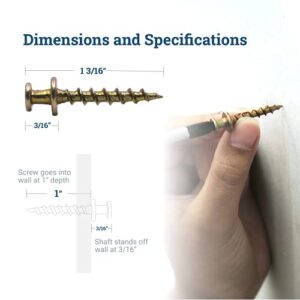 Bear Claw Screw Hanger Gold - 30lb Picture Hooks - 4-in-1 Hanging Screws for D-Rings, Sawtooth, Wire and Keyholes - Mounts in Drywall and Wood Studs 30 Pack