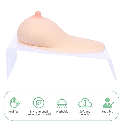 iplusmile Human Female Silicone Breast Silicone Breast Model Lactagogue Breastfeeding Educational Tool for Lactation Teaching Nursing Trainning (24.5x18x15CM)