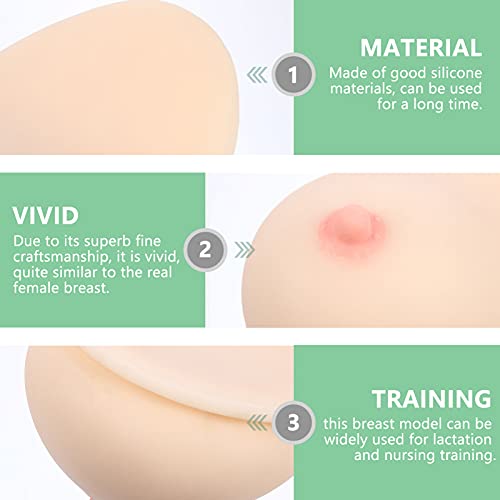 iplusmile Human Female Silicone Breast Silicone Breast Model Lactagogue Breastfeeding Educational Tool for Lactation Teaching Nursing Trainning (24.5x18x15CM)