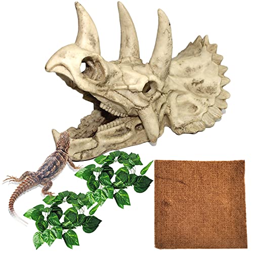 Hamiledyi Bearded Dragon Dinosaur Decor 4 Pack Reptile Aquarium Accessories Resin Triceratops Skull Amphibians Hides and Caves for Snake Gecko Chameleon Lizard Spider