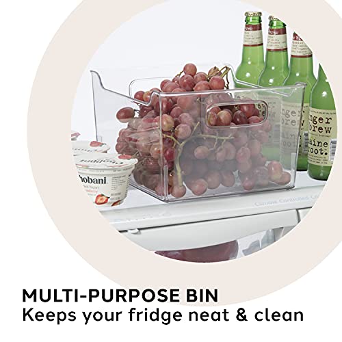 OGGI Storage Bin w/Handles, 13˝ x 9˝ x 6˝, Clear