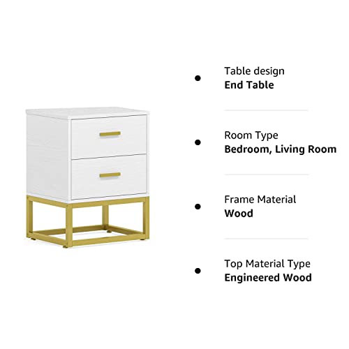 2 Drawer Nightstand, White and Gold NightStands for Bedrooms Modern Side Table