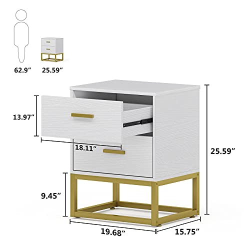 2 Drawer Nightstand, White and Gold NightStands for Bedrooms Modern Side Table