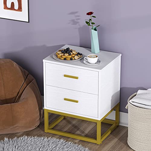 2 Drawer Nightstand, White and Gold NightStands for Bedrooms Modern Side Table