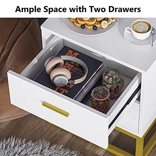 2 Drawer Nightstand, White and Gold NightStands for Bedrooms Modern Side Table