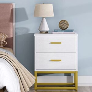 2 Drawer Nightstand, White and Gold NightStands for Bedrooms Modern Side Table