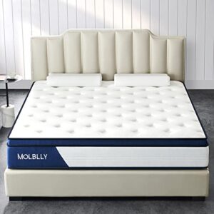 Molblly Full Mattress, 10 Inch Hybrid Mattress with Gel Memory Foam,Motion Isolation Individually Wrapped Pocket Coils Mattress,Pressure Relief,Back Pain Relief& Cooling Full Bed, Full Size Mattress