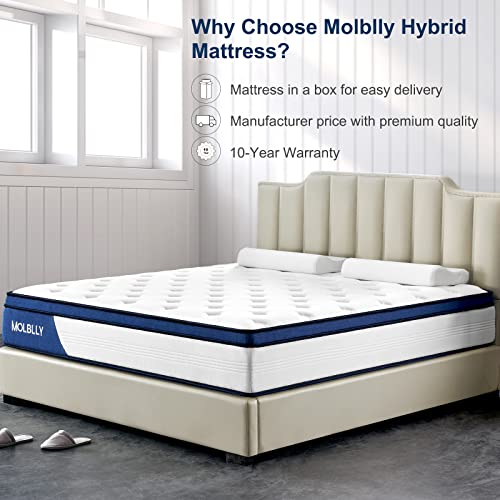 Molblly Full Mattress, 10 Inch Hybrid Mattress with Gel Memory Foam,Motion Isolation Individually Wrapped Pocket Coils Mattress,Pressure Relief,Back Pain Relief& Cooling Full Bed, Full Size Mattress