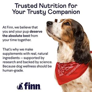 Finn Hip and Joint Supplement for Dogs | Glucosamine, Chondroitin & MSM for Arthritis, Inflammation, and Mobility Support | with Turmeric, BioPerine and B-Vitamins | 90 Soft Chew Treats