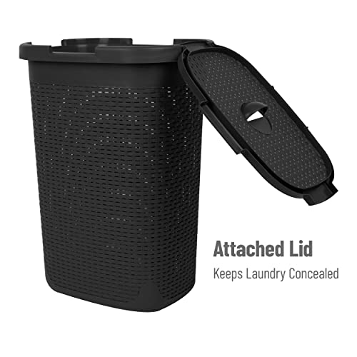 Mind Reader 60 Liter Laundry Hamper, (Black, Single)