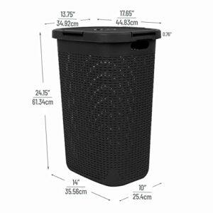 Mind Reader 60 Liter Laundry Hamper, (Black, Single)