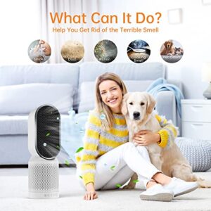 HEPA Air Purifiers for Bedroom, QUEENTY Room Air Purifier Ionizer with H13 True HEPA Filter, 40° Rotation Air Purifiers for Pets, Home, Remove 99.97% Dust Smoke Pollen Pet Dander (White)