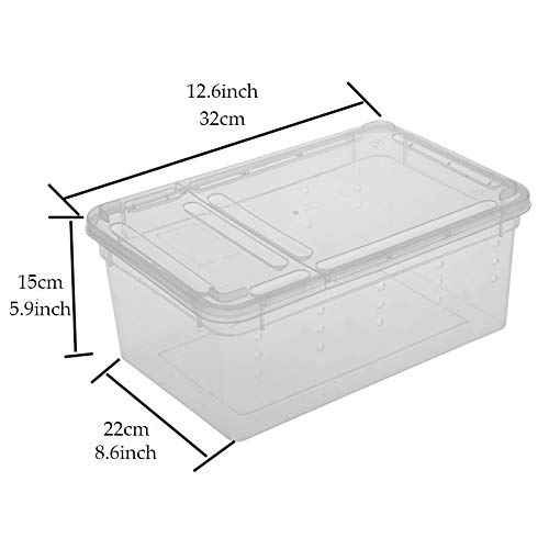 2 PCS Reptile Small Snake Feeding Box Lizard Tarantula Habitat Cage Hatching Container Transparent Portable Plastic Mini Pet Houses for Scorpion Spider Frog