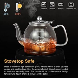 Glass Teapot, 33 oz / 1000ml Glass Teapot with Removable Infuser, Clear Teapot for Blooming Tea, Loose Tea, Flowering Tea Pot, Scale line Borosilicate Glass Teapot Stovetop Safe Tea Brewer Guide