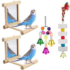 4 pieces bird toys include parakeet mirror for cage, parrot chewing toy and colorful bell string, parrot perch stand, wooden hummingbird swing toy parakeet accessories for cockatiels finch canary