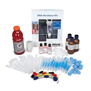 dna necklace classroom kit
