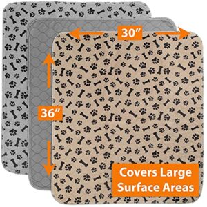 JUNGLE CREATIONS Washable Pee Pads for Dogs (3-Pack) Reusable Waterproof Potty Training Mats for Puppy Playpen, Whelping Box, Crate Liner for Small, Medium, Large, and XL Pets (30" x 36")