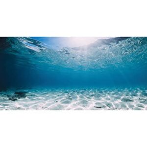 awert 30x18 inches polyester undersea ocean floor aquarium background underwater tropical fish tank background