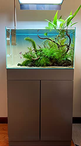 Allcolor Ultra Clear Rimless Aquarium Tank 2-22 gallons Low Iron Glass (21Gal - Top Glass Canopy)