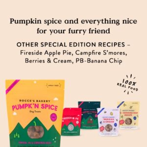 Bocce's Bakery Pumpk'n Spice Treats for Dogs, Wheat-Free Everyday Dog Treats, Made with Real Ingredients, Baked in The USA, All-Natural Soft & Chewy Cookies, Pumpkin, Peanut Butter, & Cinnamon, 6 oz