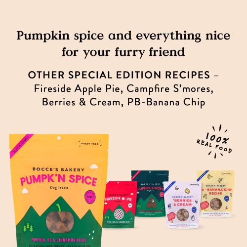 Bocce's Bakery Pumpk'n Spice Treats for Dogs, Wheat-Free Everyday Dog Treats, Made with Real Ingredients, Baked in The USA, All-Natural Soft & Chewy Cookies, Pumpkin, Peanut Butter, & Cinnamon, 6 oz