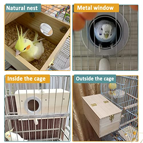 Hamiledyi Parakeet Nesting Box Wood Parrot Nest Breeding Box Kit Natural Bird House for Cage Budgie Breeder Box for Small Medium Lovebirds Conure Finch Cockatiel (5.12"×5.12"×9.84")