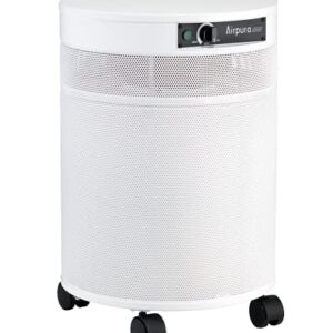 Airpura V600 Air Purifier for Home, V600 True HEPA Filter, Helps to eliminate thousands of airborne particles from air