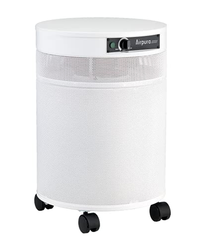 Airpura V600 Air Purifier for Home, V600 True HEPA Filter, Helps to eliminate thousands of airborne particles from air