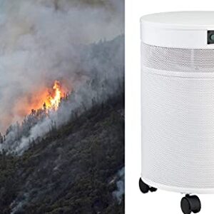 Airpura V600 Air Purifier for Home, V600 True HEPA Filter, Helps to eliminate thousands of airborne particles from air