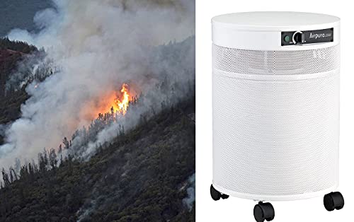 Airpura V600 Air Purifier for Home, V600 True HEPA Filter, Helps to eliminate thousands of airborne particles from air