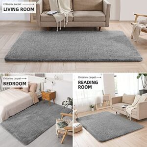 Chloelov Soft Thick Fluffy Faux Fur Area Rug for Living Room 5' x 8', Luxury Plush Shaggy Fuzzy Bedside Rugs for Bedroom Dorm Nursery, No-Slip Large Furry Cozy Accent Carpet Mats for Sofa Floor, Grey