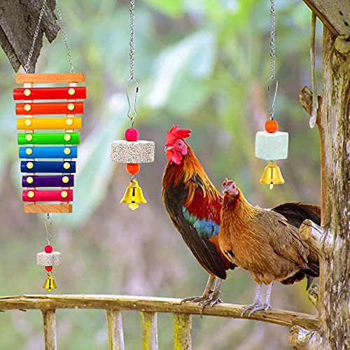 5 Pieces Hen Chicken Toys Chicken Coop Mirrors Colorful Wooden Xylophone Bird Toy Hanging Parrot Grindstone Bird Beak Stones Dangling Bird Toys with Bells for Chicks Parrots Birds Hens