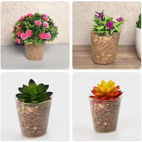 HOVEOX 100Pcs 3 Inch Plant Nursery Pots with 100Pcs Plant Labels, Transparent Plastic Gardening Pot Planting Containers Indoor Succulent herb Planter for Seedlings Succulent Vegetable