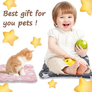 4 Pieces Rabbit Guinea Pig Bed Mats Soft Plush Bunny Pad Mats Small Animal Dog Cat Bed Dog Crate Kennel Pad Mat Hamster Cozy Dog Bed Mat for Small Animal (Big Twinkle, 10 x 11 Inch)