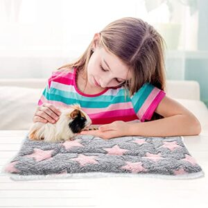 4 Pieces Rabbit Guinea Pig Bed Mats Soft Plush Bunny Pad Mats Small Animal Dog Cat Bed Dog Crate Kennel Pad Mat Hamster Cozy Dog Bed Mat for Small Animal (Big Twinkle, 10 x 11 Inch)