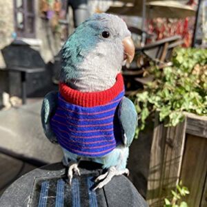 HEZHUO Bird Clothes， Parrot Bird Supplies, Light Flying Clothes, Warm and Comfortable, Tiger Skin, Green Cheek Parrot, Little Sun Parrot, Monk Parrot, Starling, mynah, Senegal Parrot, Mini Macaw (L)