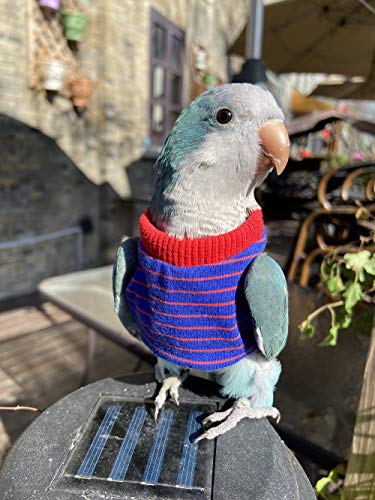 HEZHUO Bird Clothes， Parrot Bird Supplies, Light Flying Clothes, Warm and Comfortable, Tiger Skin, Green Cheek Parrot, Little Sun Parrot, Monk Parrot, Starling, mynah, Senegal Parrot, Mini Macaw (L)